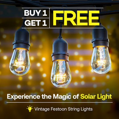 Solar Solutions™️ - Festoon Lights (2025 Edition)
